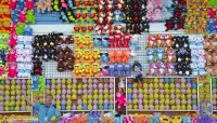 The Great New York State Fair - Aug 23, 2025 – Image 3