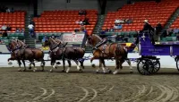 The Big E: Eastern States Expo - Sep 14 – Image 4