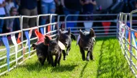 The Big E: Eastern States Expo - Sep 14 – Image 3