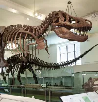 Museum of Natural History - NYC - Mar 29, 2026 – Image 5