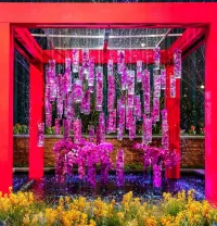 Philadelphia Flower Show - Mar 7, 2026 – Image 5
