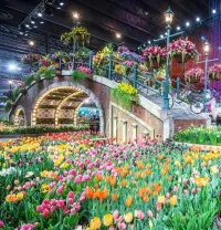 Philadelphia Flower Show - Mar 7, 2026 – Image 1