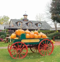 Yankee Candle & Premium Outlets - Oct 4, 2026 – Image 5