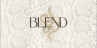 Blend Salon – Image 1