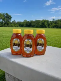 Local North Florida Honey – Image 1