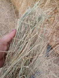 Good Grass – Image 3
