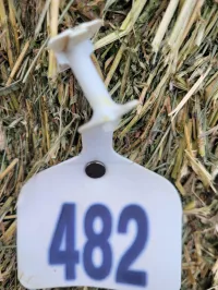 Lot 501 – Image 3