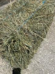 Grass Small Squares – Image 5