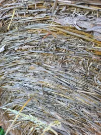Oats bales – Image 2