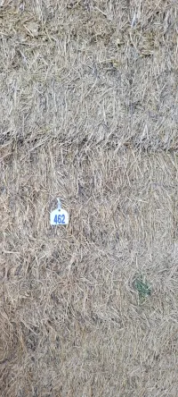 Alfalfa 140 RFV – Image 13