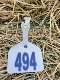 Alfalfa 150+ Small Square Bales – Image 2