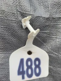 Alfalfa 200 RFV – Image 13