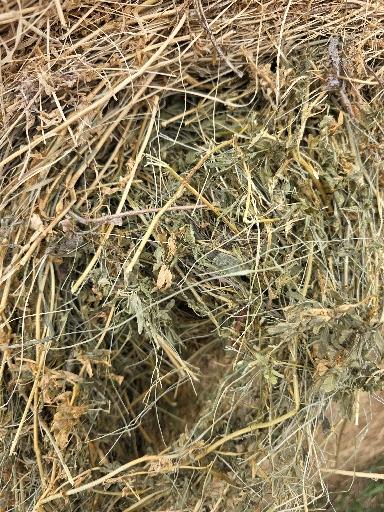 100 Alfalfa/Grass Mix Rounds – Image 1