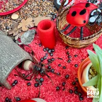Ladybird Love Sensory Mix – Image 2