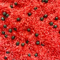 Ladybird Love Sensory Mix – Image 1