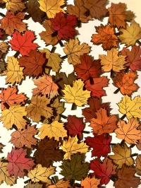 Wooden Autumn Leaf Counters (set of 10) – Image 2