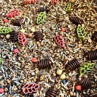 Woodland Floor Sensory Mix – Image 2