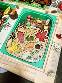 Autumn Play Tray Trofast Lid – Image 1