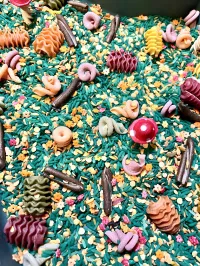 Fungi Forest Sensory Mix – Image 1