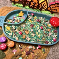 Fungi Forest Sensory Mix – Image 2