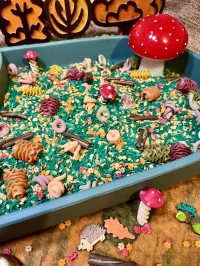 Fungi Forest Sensory Mix – Image 3