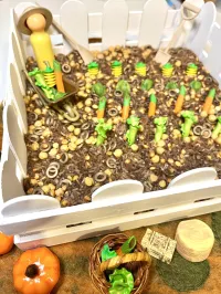 Harvest Festival Sensory Mix – Image 4