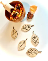 Natural Wooden Beech Leaves (set of 5) – Image 1