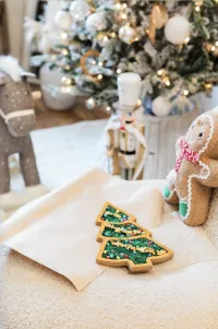 Christmas Tree Sensory Mix – Image 3