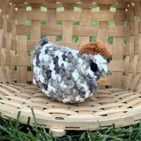 Chicken Plushie – Variegated 