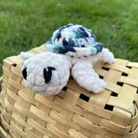 Little Turtles – Blush
