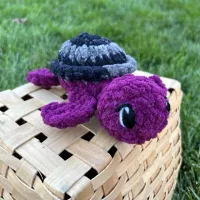 Little Turtles – Plumb