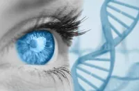 Written Iris Analysis (Email Report Only) – Image 1
