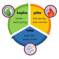 Ayurveda - Telehealth Consultation – Image 1