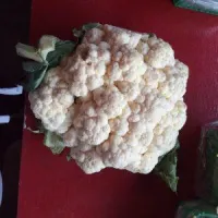 Cauliflower – Image 1