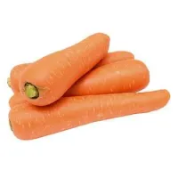 Carrots – Image 1