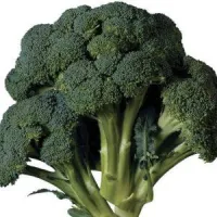 Broccoli – Image 1
