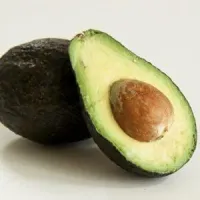 Avacado – Image 1