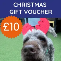 £10 Christmas Gift card – Image 1