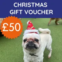 £50 Xmas Gift card – Image 1