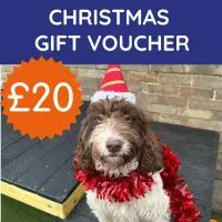 £20 Xmas Gift card – Image 1