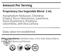 Sea Synergy – Image 2