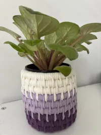 Purple Pretty Planter – Image 1