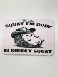 Fridge Magnet 2x3 – Diddly Squat