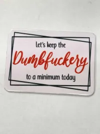 Fridge Magnet 2x3 – Dumbfuckery to a minimum