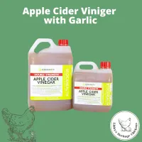 Apple Cider Vinegar with Garlic – Image 1