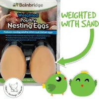 Weighted Nest Egg – Image 2