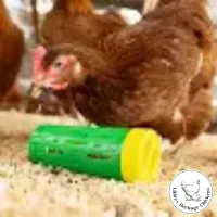 Chicken Treat Roller – Image 2