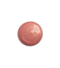 LIPSENSE® LIP COLOR – PINK CHAMPAGNE