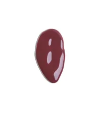 Glowify® Juicy Plumping Lip Gloss – Plush Plum