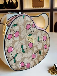 Coach – Image 2
